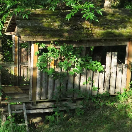 Haus Loidl Sankt Gallen