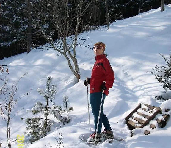 Haus Loidl בית הארחה 3*